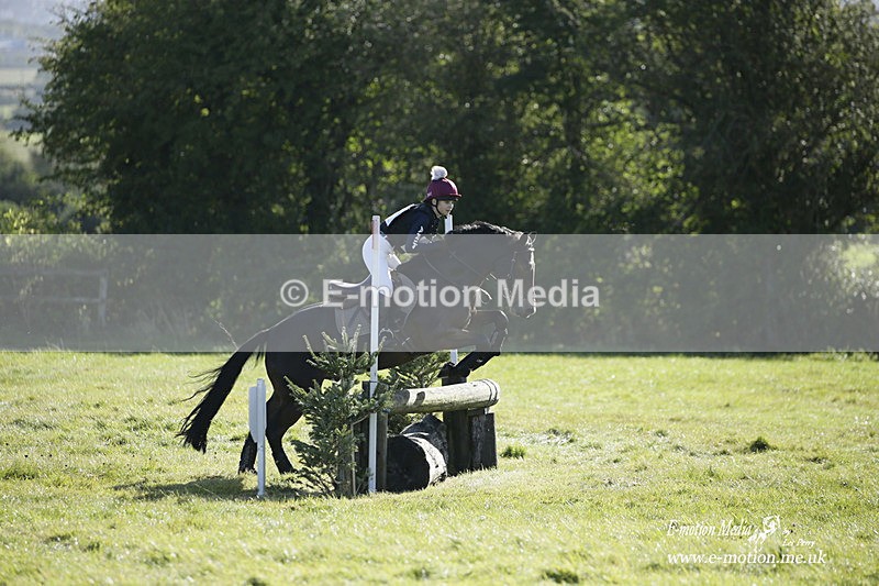 WWHT 031021 816 - Novice Restricted (0.80m) 03/10/21