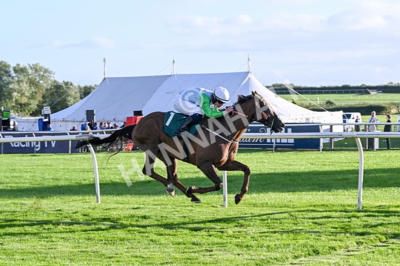 080926-Race 8-Zimmerman-3535 - Race 8 5.51pm Racing Again 30th September Amateur Jockeys' Handicap