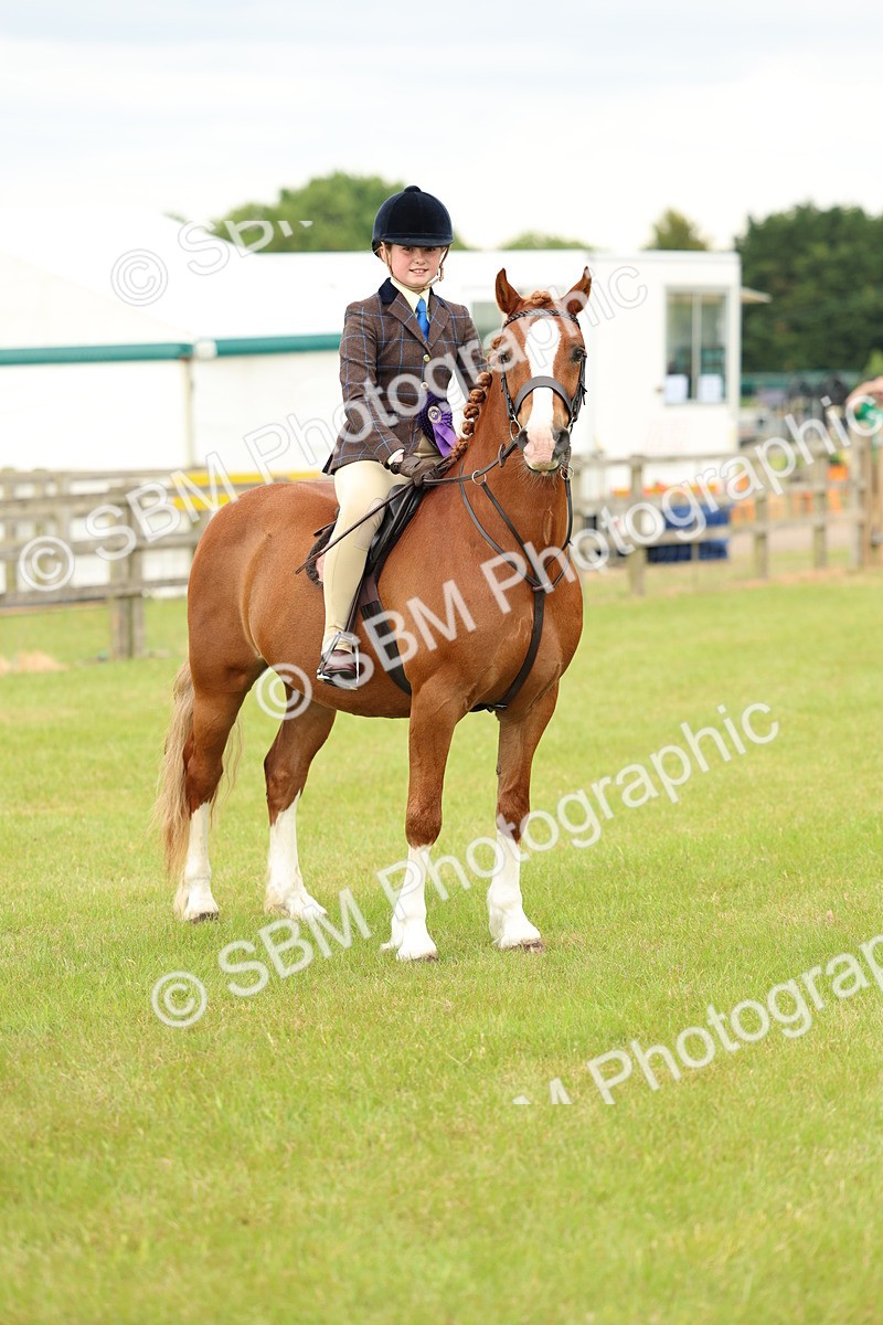 SBM_10417 - Class 44-45 - LIHS BSPS Open Nursery and Cradle Stakes