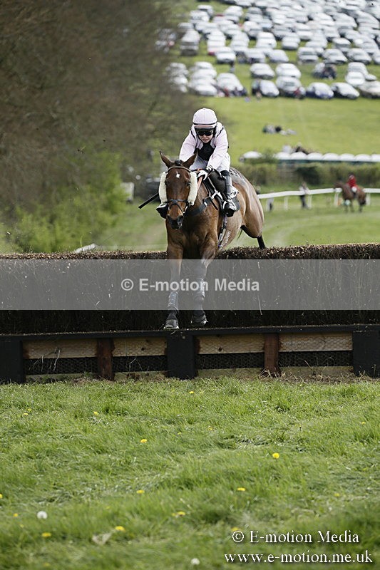 PtP 170417 174 - Old Berks Point-to-Point Lockinge 17/04/17