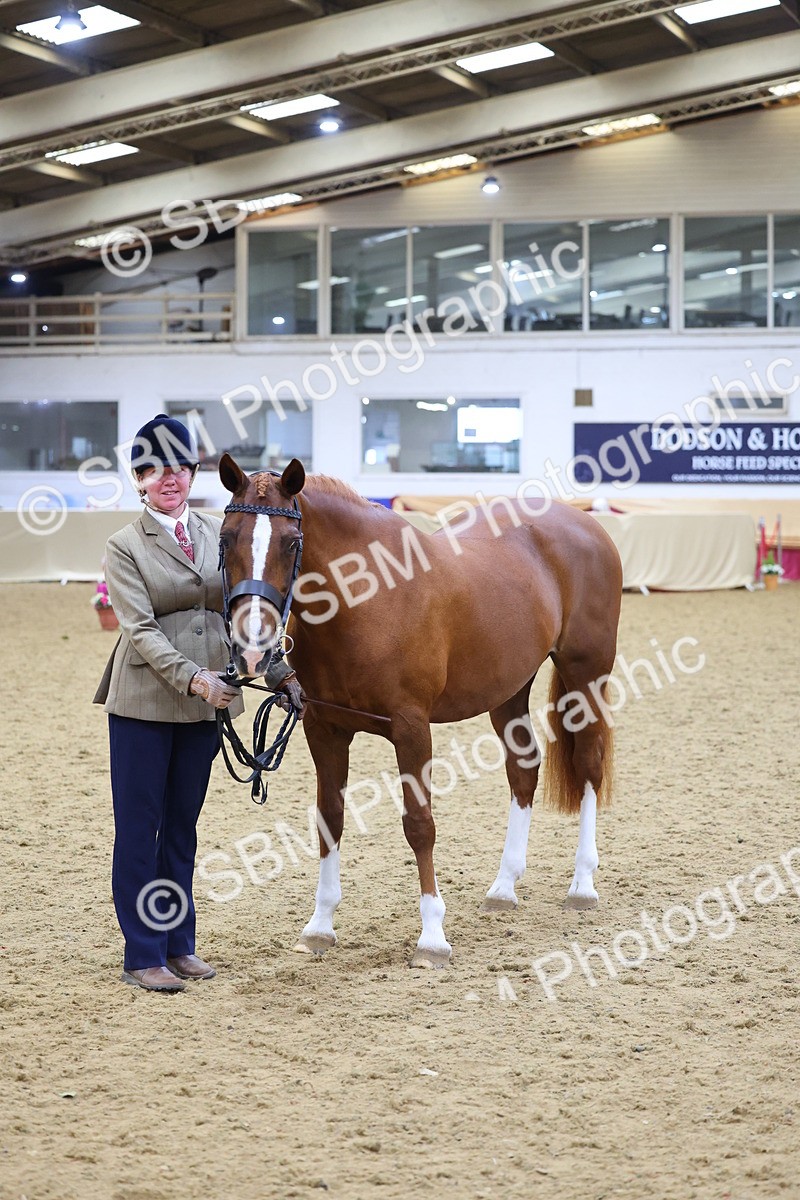 SBM_19435 - Class 901 - Supreme Final - IH Diamond