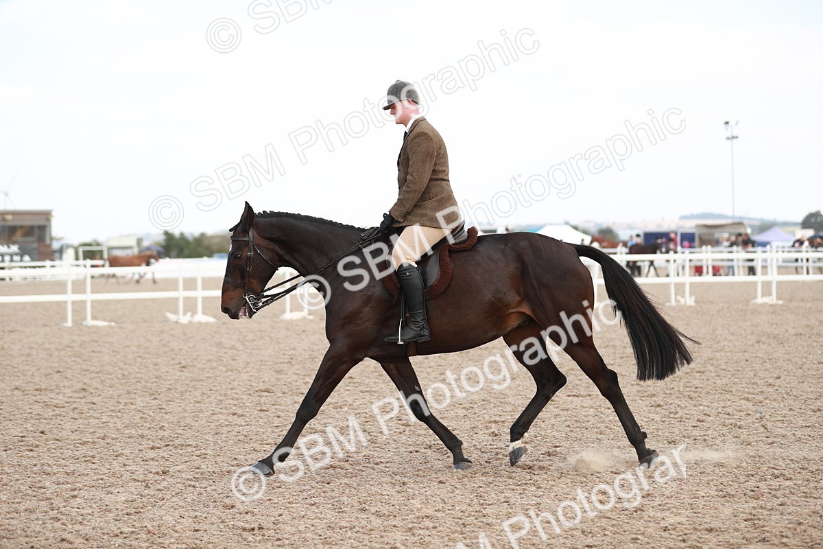 SBM_15523 - Class 213 Ridden Hunter -Large