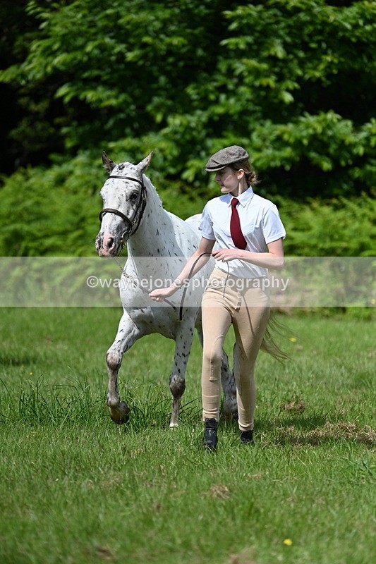 WJ7_1300 - Class 11 Condition & Turnout