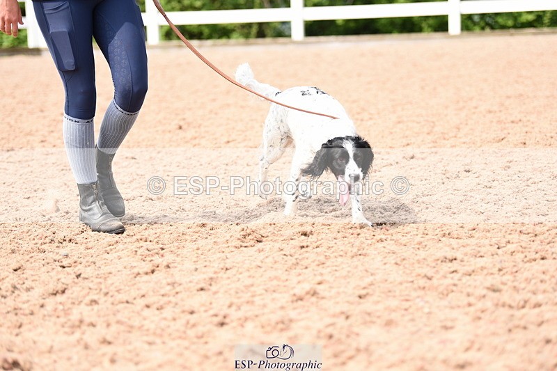 240518A-114946-00839 - Cls 2 Prettist Bitch