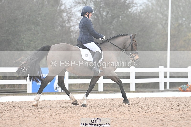 240217A-095820-00495 - 205-Emma.Murch-Gwynfaes.Gethin