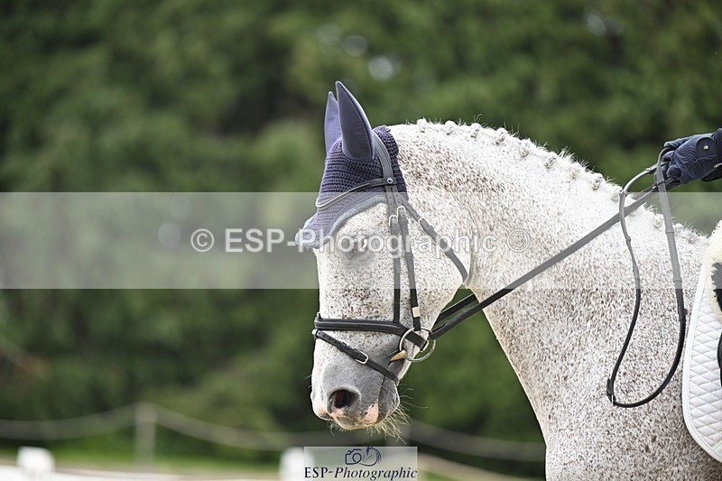 240523-152653-05201 - 435-ENJOY_III-Sanne_de_Jong