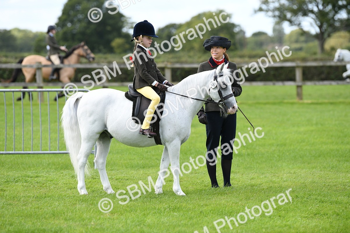 SBM_42448 - S20 - Lead Rein Mountain & Moorland Pony