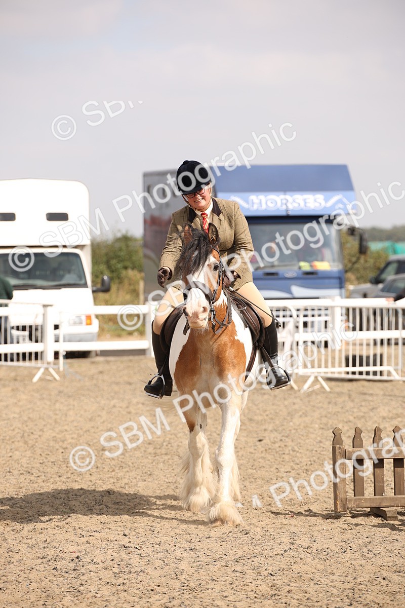 SBM_14295 - Class 407b - Working Veteran 60cm (20+)