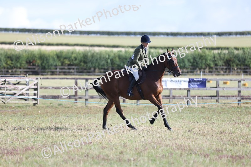 20250831-0845 - Class 14 - Ex Racehorse
