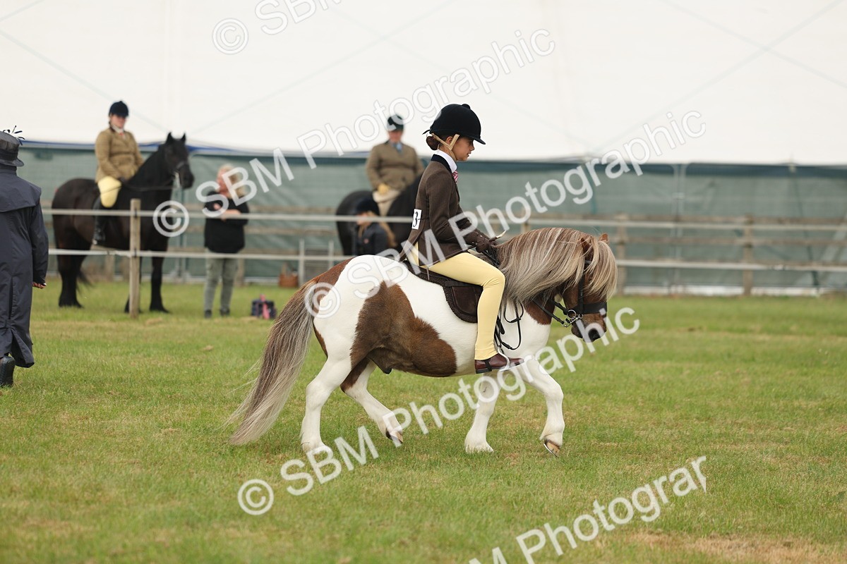 SBM_08899 - Class 78-80 - Ridden M&M Non Welsh Ponies