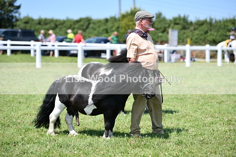 DSC_7650 - Class 64: Coloured Pony 4yrs & over
