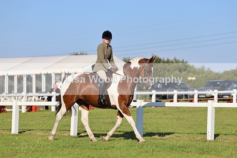 IMG_1193 - Class 27: Ridden Plaited Coloured Horse