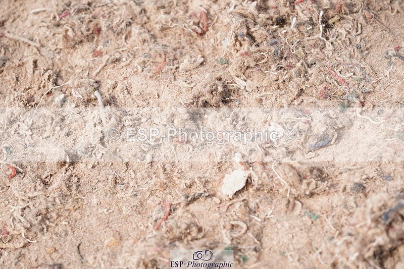 250511-153040-14726 - Cls 35 1.10m Amateur Quali and Open