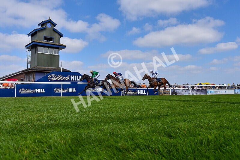 310824-Race 1-Quietness-5825 - Race 1