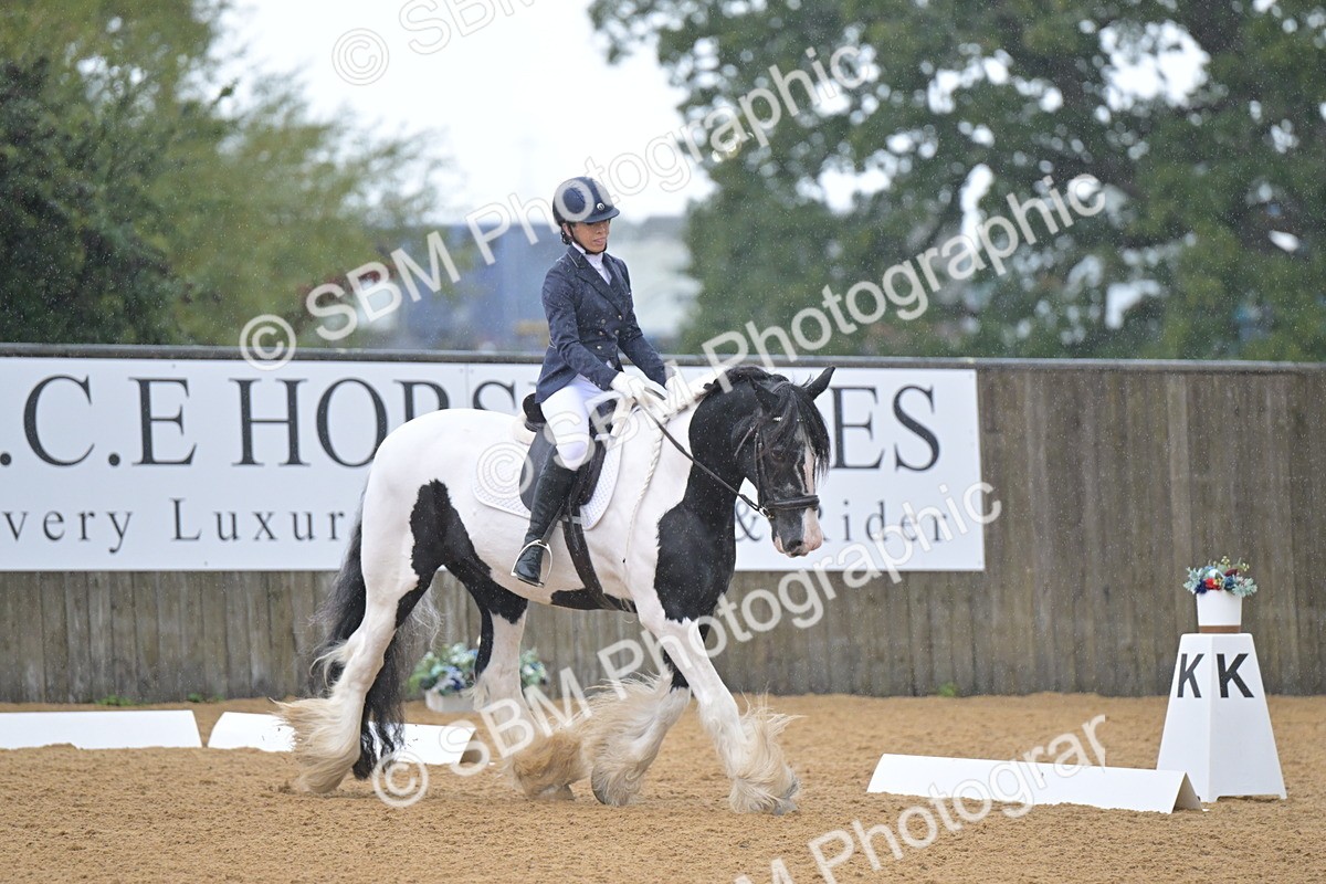 SBM_02211 - D2 - Small Tour Championship Intro 2