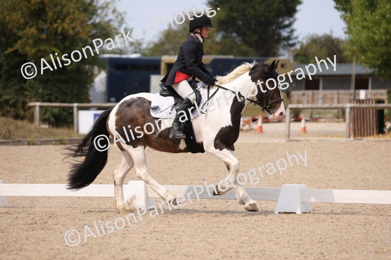 20250819-1339 - Class 4 - Novice 2