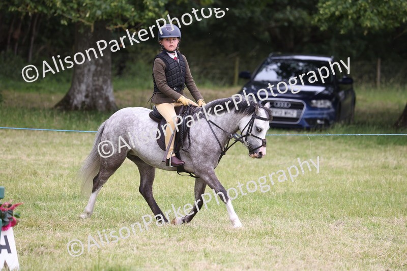 20260614-3137 - Class 22 - Open Working Hunter