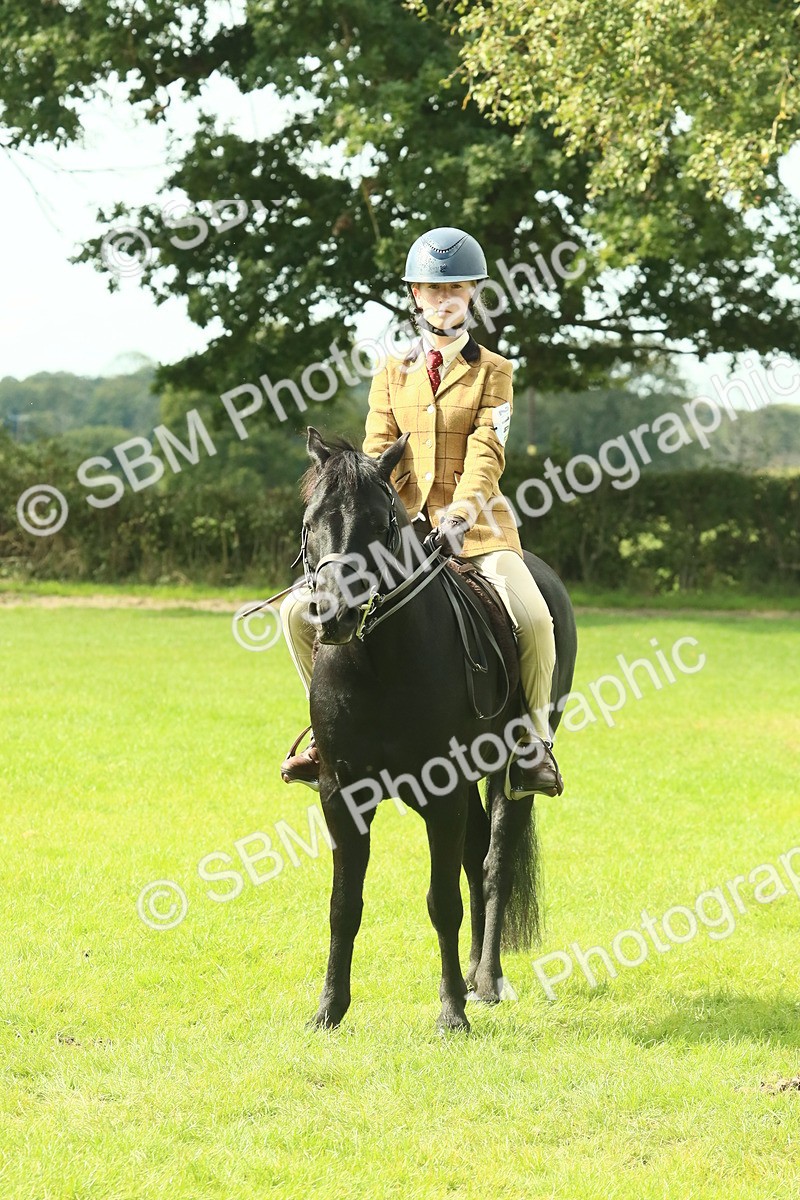 SBM_66422 - S34 - Rehabilitated Rescue Horse & Pony In Hand & Ridden