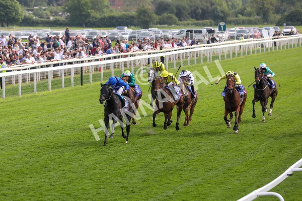 170524-Race 3-Devoted Queen-2173 - Race 3 3.15pm Sky Bet Fillies' Stakes (Registered As The Michael Seely Memorial Fillies' Stakes)