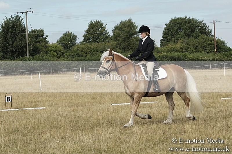 _PJP5715 - Dressage Classes BVRC Show 2018