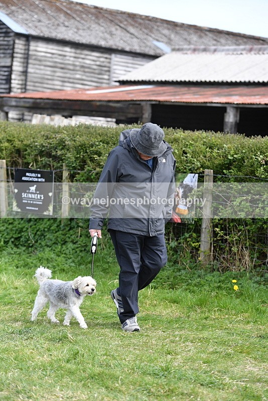 WJ5_0781 - Best in Show Championship