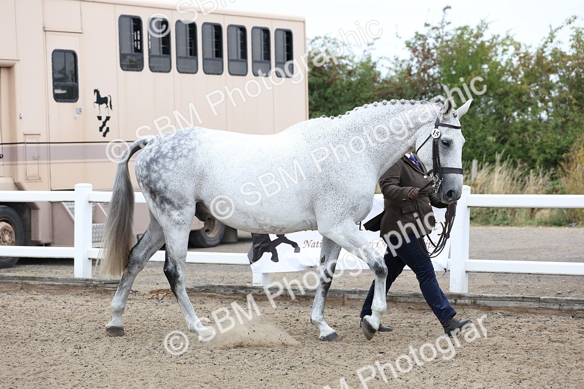 SBM_00008 - Class 50 - Best Turned Out IH