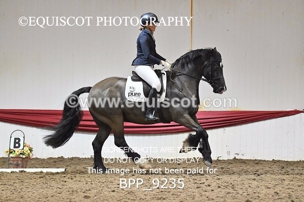 BPP_9235 - ELEM 6