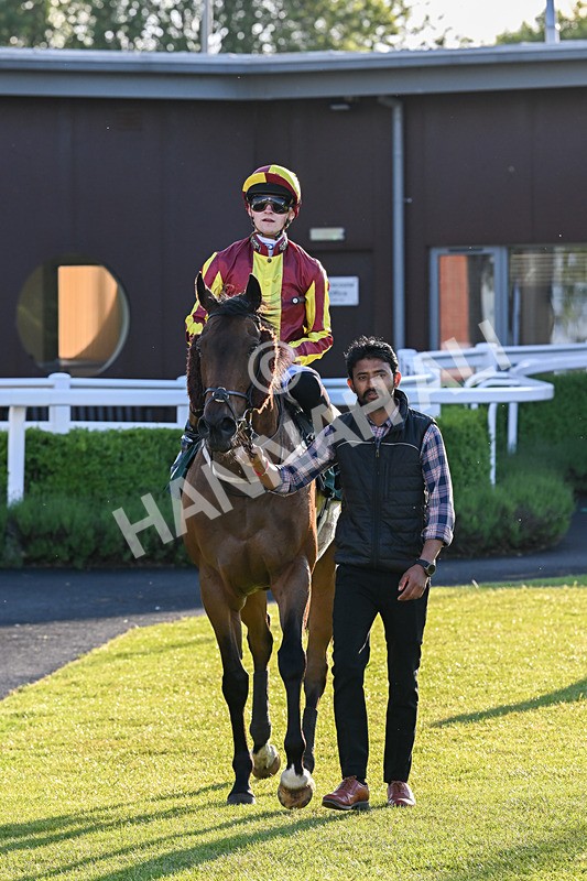 300525-Race 4-Albegone-7695 - Race 4