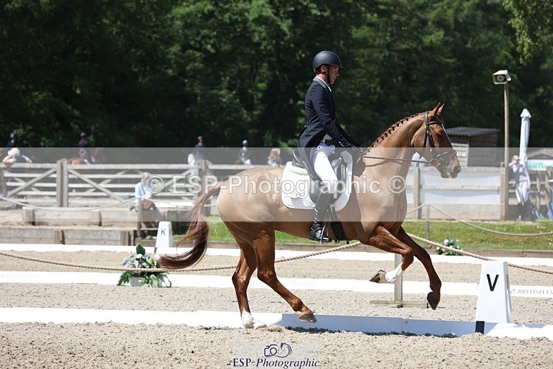 230526-115746-06138 - 157-GODSEND_DU_GIVRE-Henry_Dove-WEDTrotUp+DR