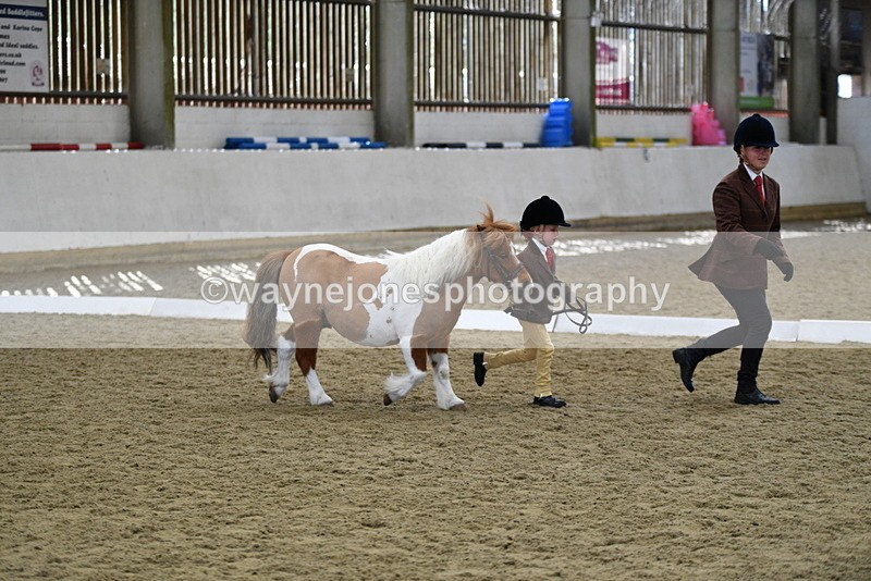 WJ5_4912 - Class 7 In hand coloured / odd coloured