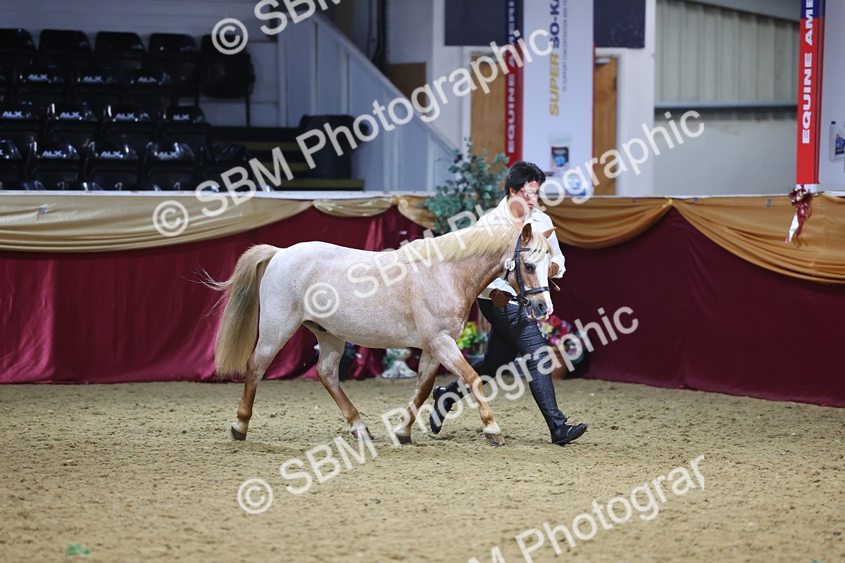 SBM_20954