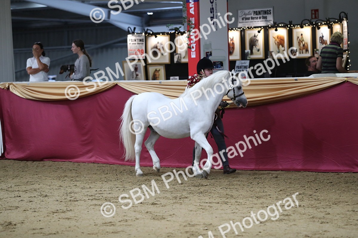 SBM_05084 - Class 8R- Regional -IH Veteran