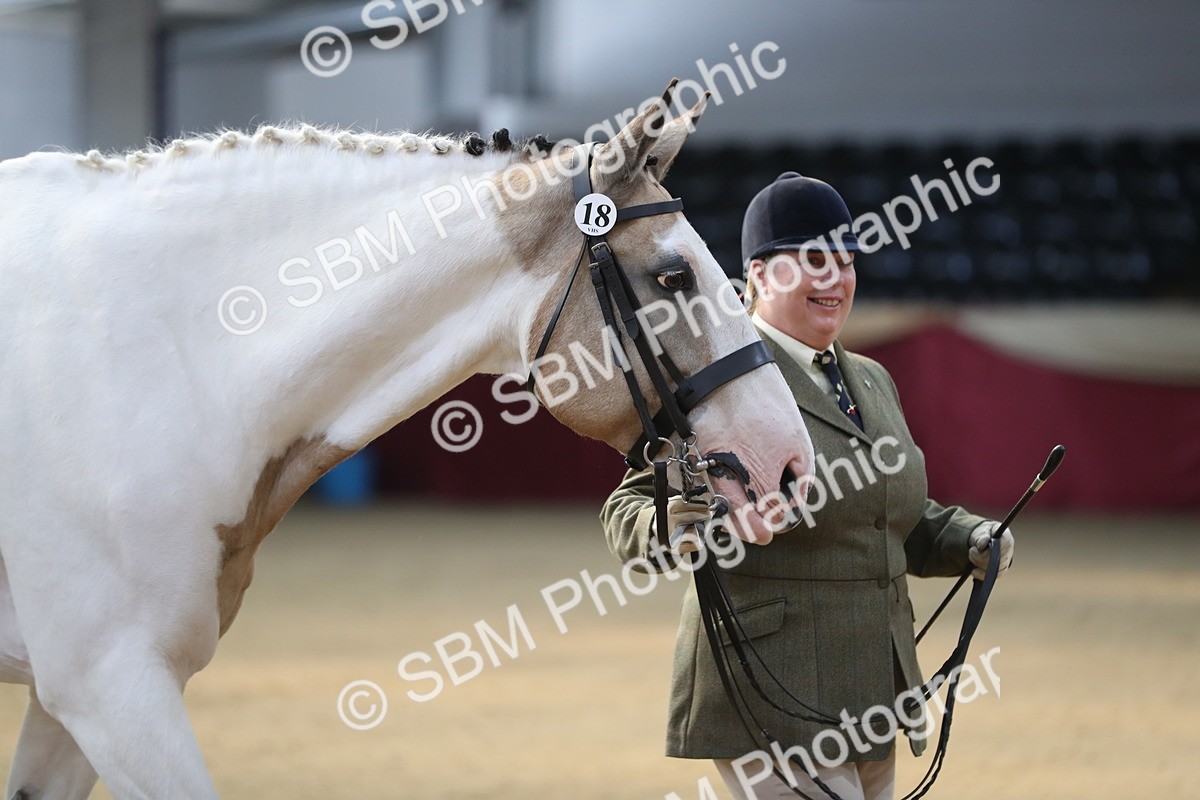 SBM_01273 - Class 3a Area IH Pre Vet