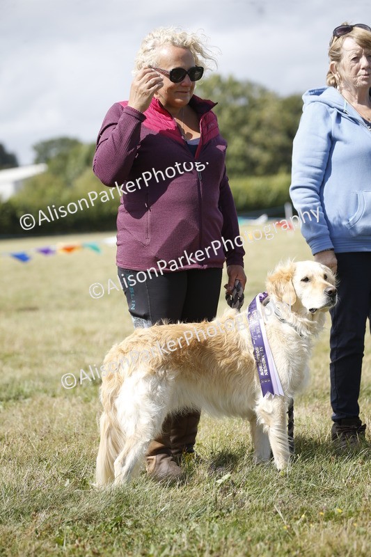 20250831-3808 - Dog Show