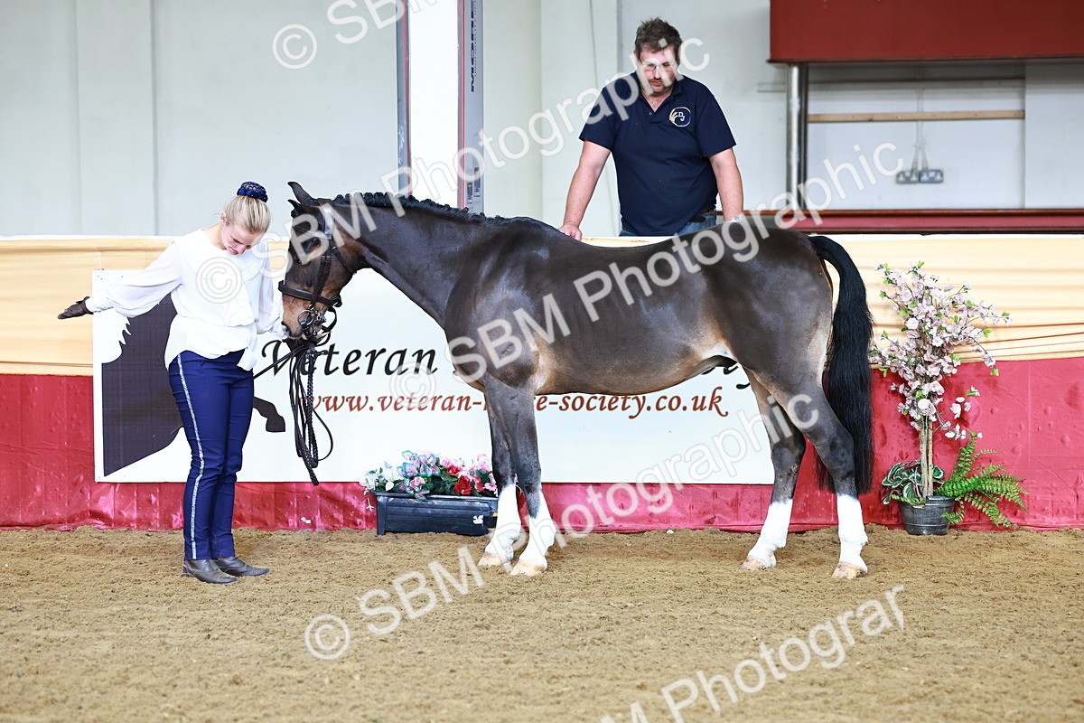 SBM_21738 - Class 901 - Supreme Final - IH  Diamond