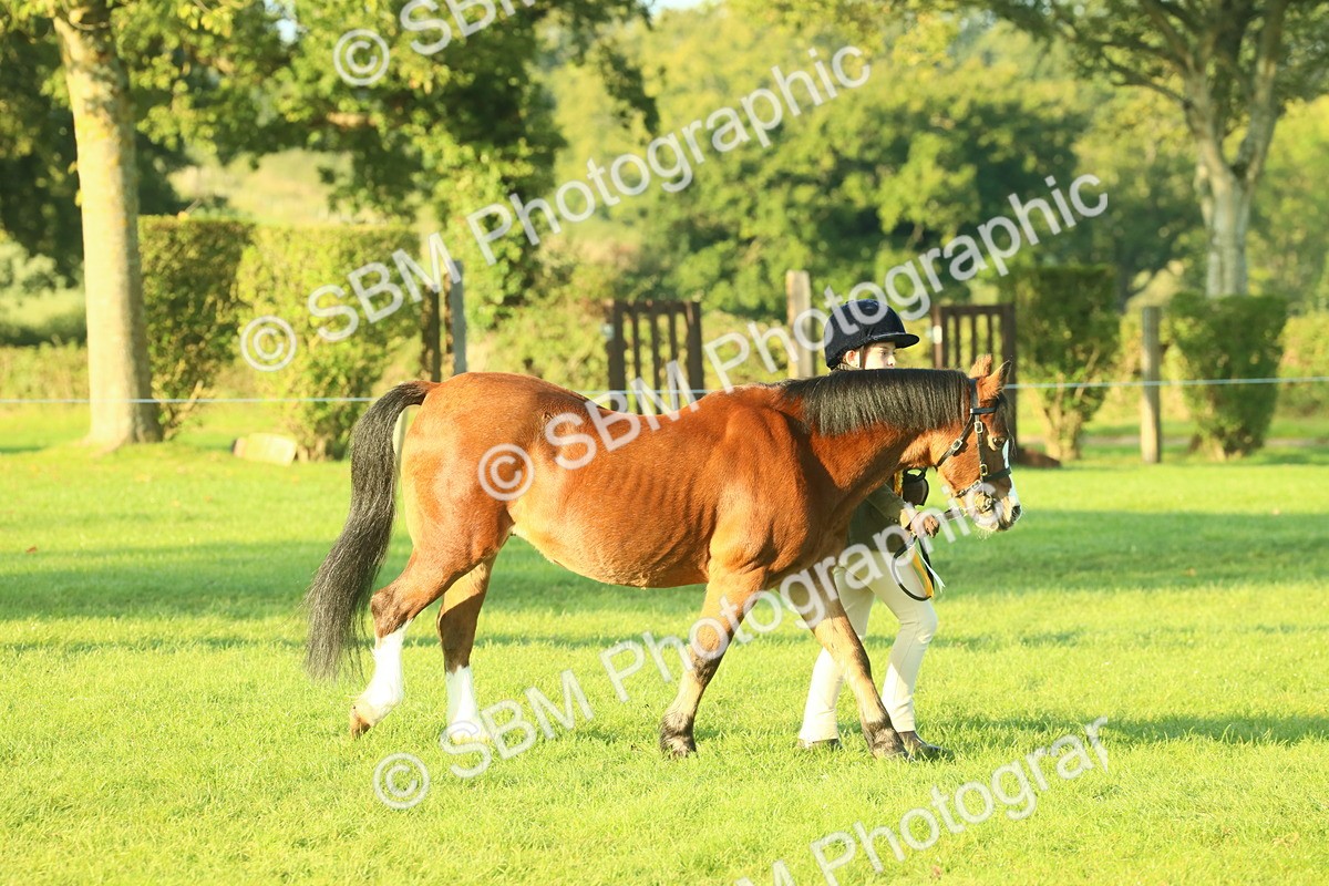 SBM_56770 - S36 - Starters Best Turnout