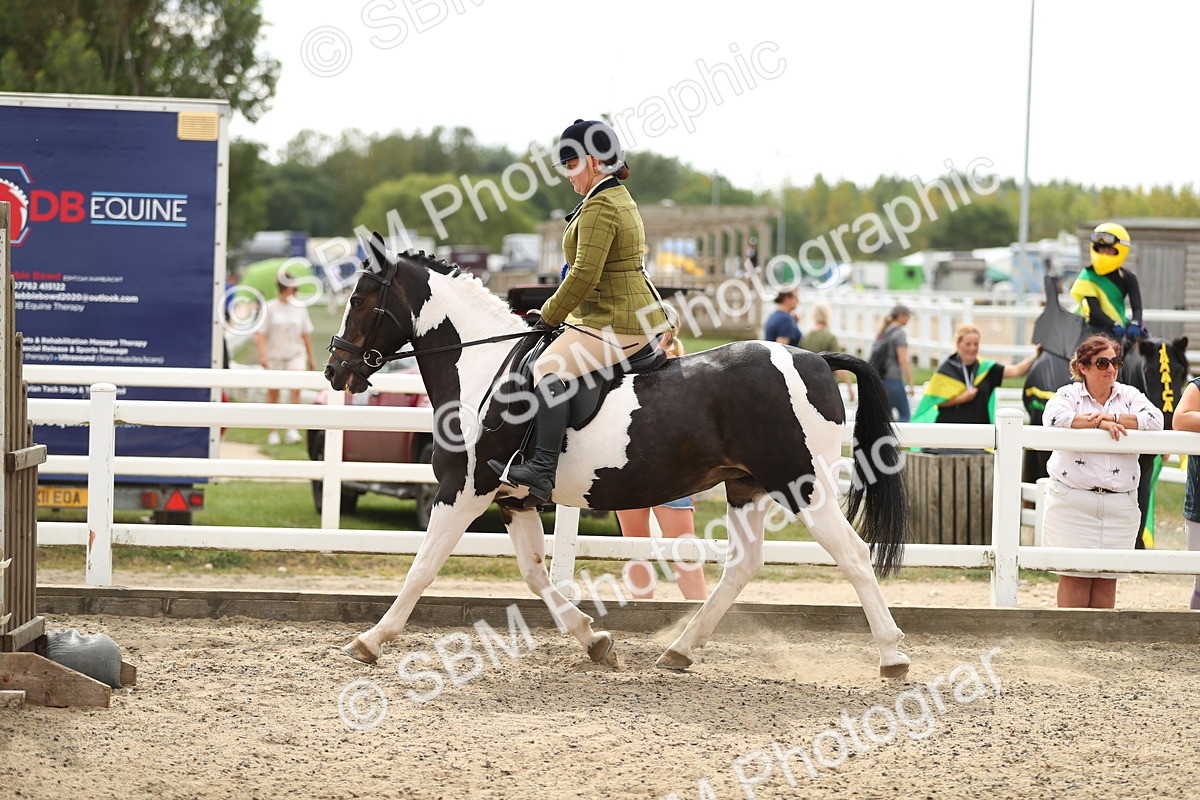 SBM_04811 - Class 46b Style & Performance 50cm (20+)