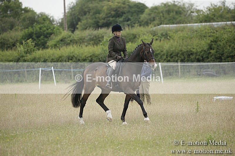 B230619-0330 - Bourne Valley Riding Club Summer Show 23/06/19