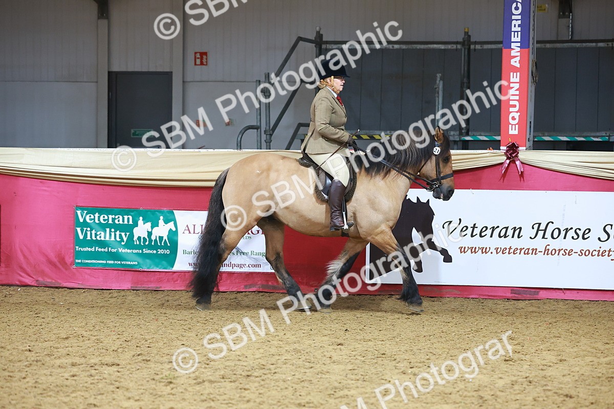 SBM_09367 - Class 102 - HOYS Veteran Qualifier - Ridden Veteran
