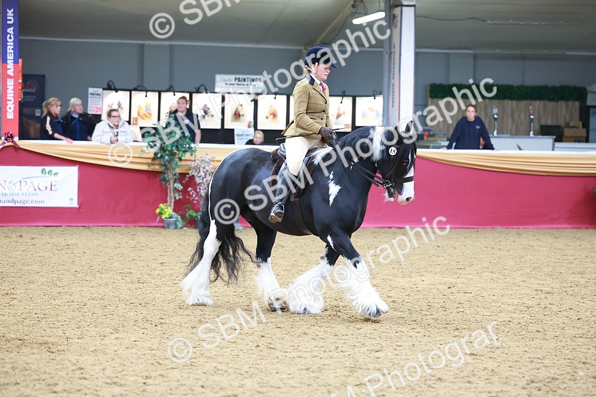 SBM_06277 - Class 12R - Ridden Pre-Vet