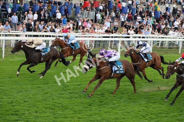 yr04092022r7-23 - Race 7 5.15pm Firmament Stakes