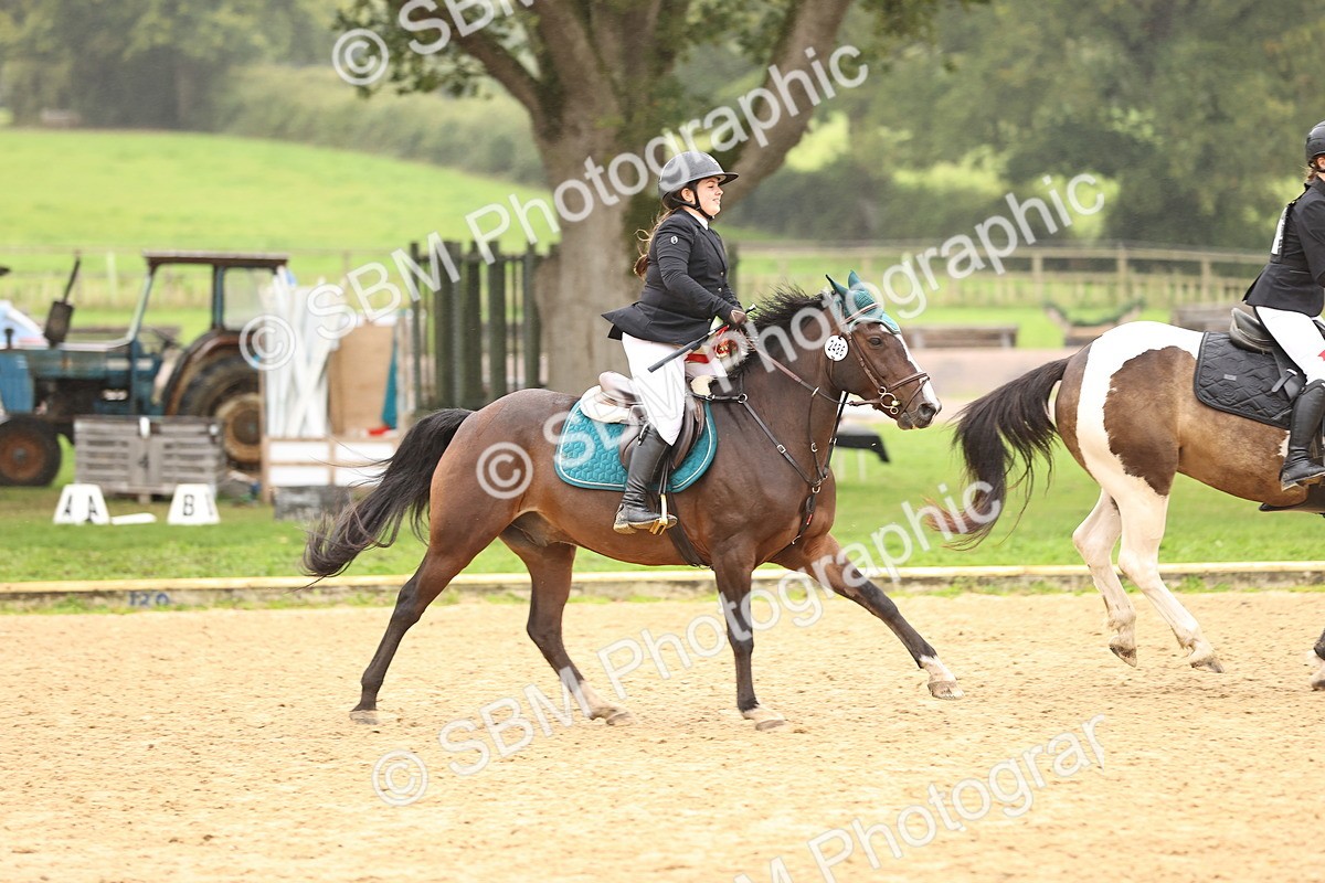 SBM_70120 - Supreme Championship 80cm 85cm