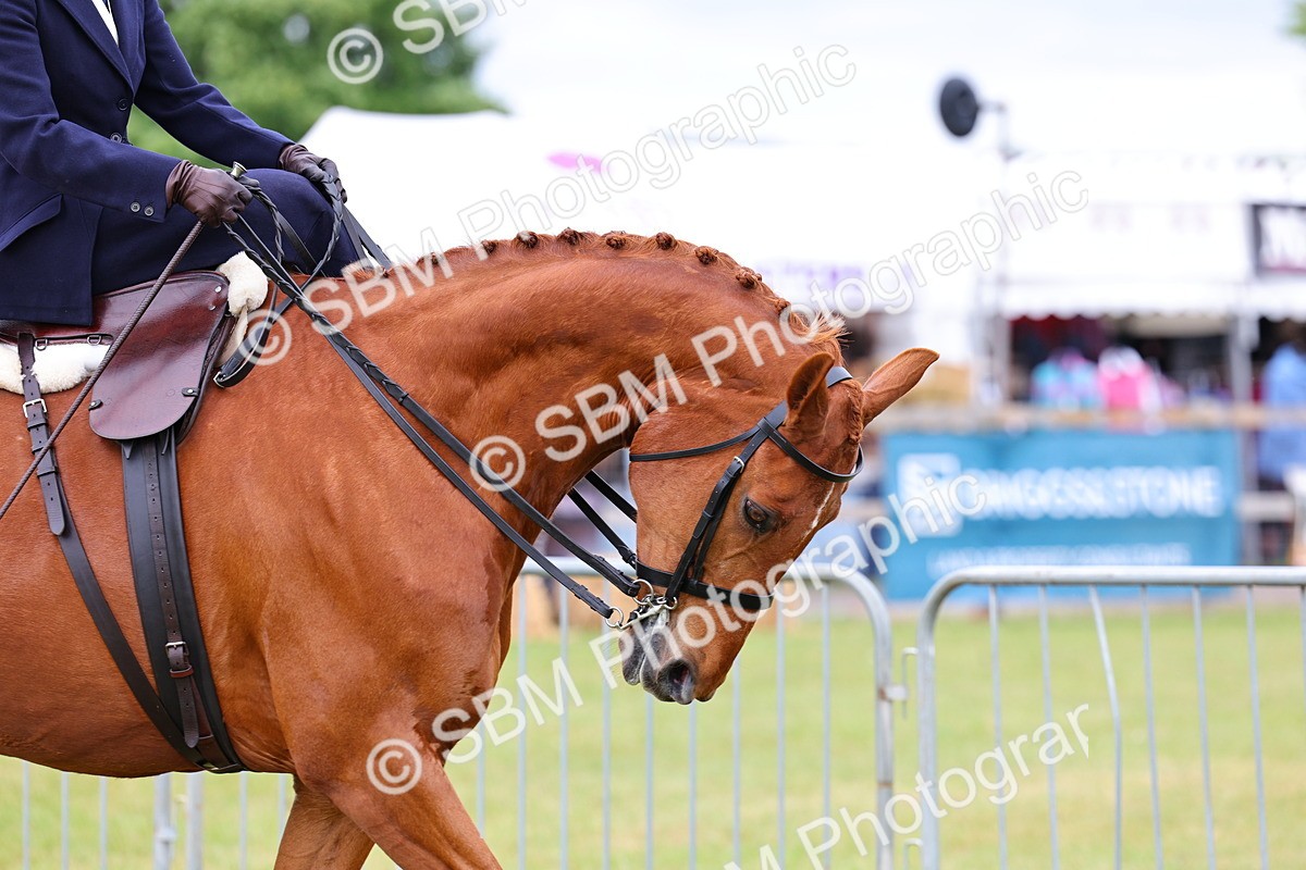 SBM_02921 - Class 9-11 Side Saddle including LIHS Rising Star Ladies Show Horse