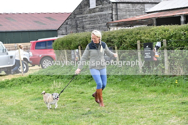 WJ5_0089 - Class 5 Best Veteran / 7 years & over