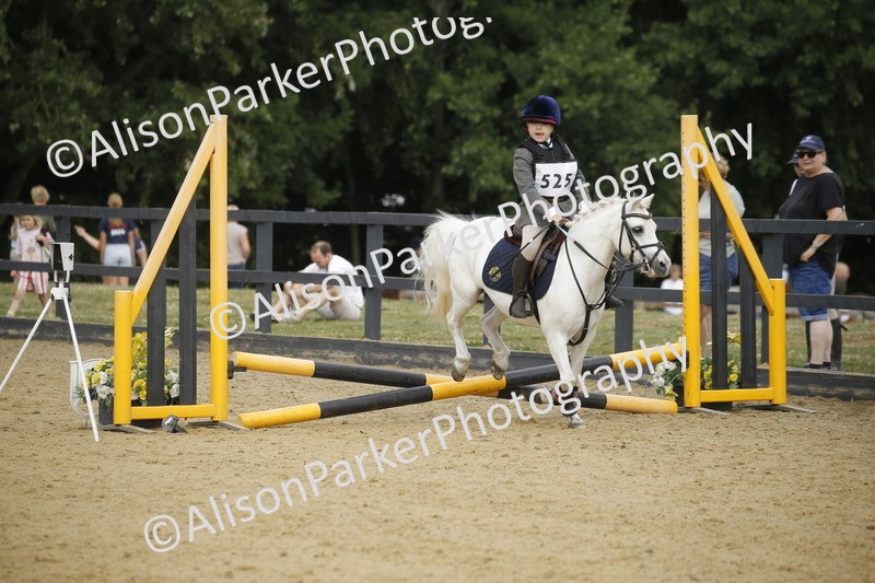 20250622-1467 - 40cm