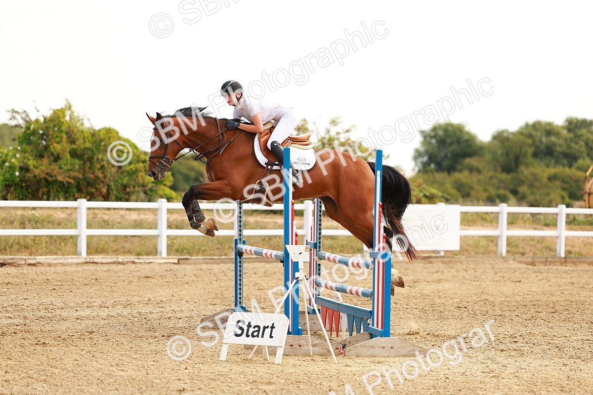 SBM_002389 - Class 9 - Senior British Novice - 90cm