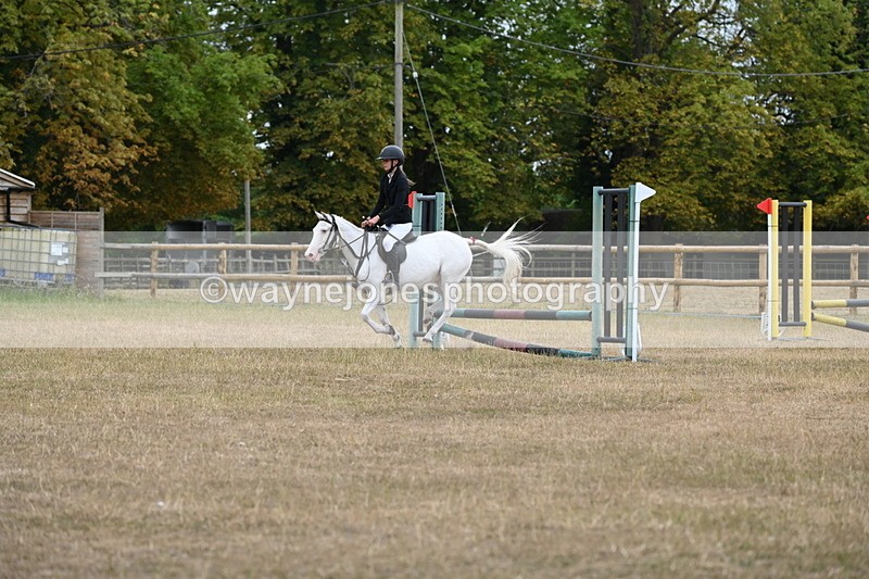 WJ6_0256 - Class 13 Novice Jumping 60cm