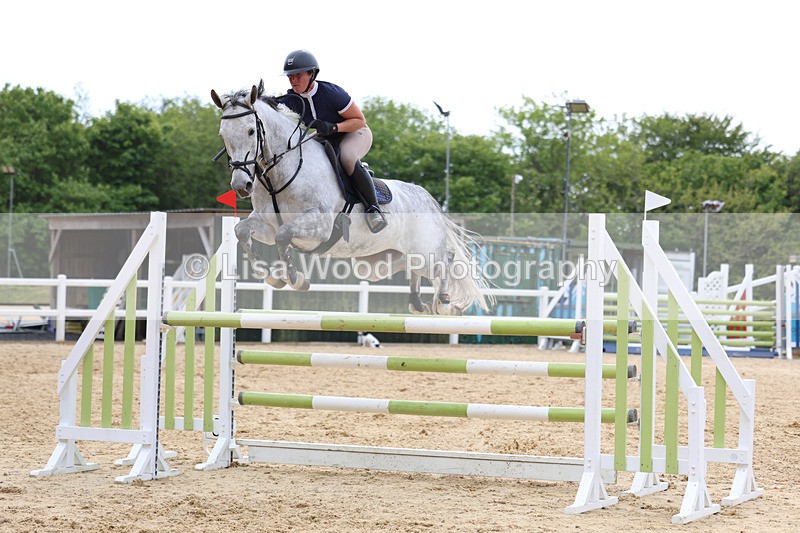 3E7A7574 - Class 8: Senior Foxhunter/1.20 open