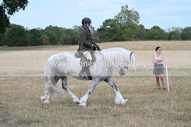 WJ7_4758 - Class 12 Ridden Cob