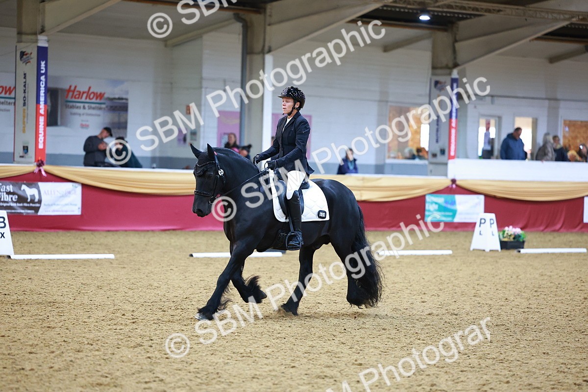 SBM_06603 - Class 61 - Dressage to Music